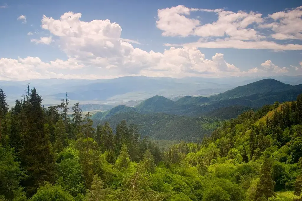 Forested ridges stretching to the horizon in Borjomi-Kharagauli