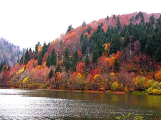 Shaori reservoir in autumn
